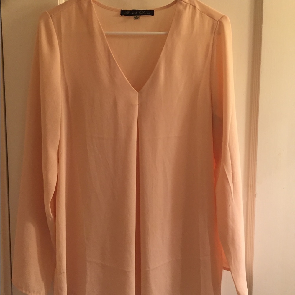 Blush sheer blouse
